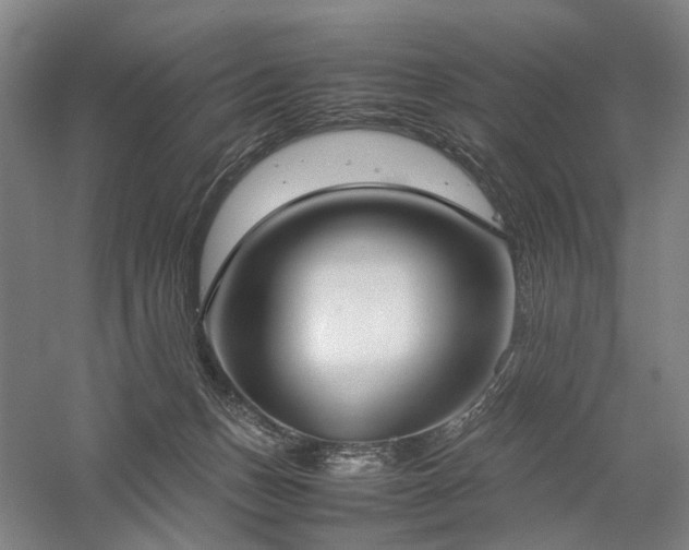 X0000058110175200509231035
