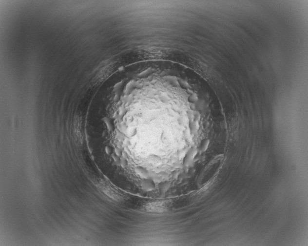 X0000058110178200509231035
