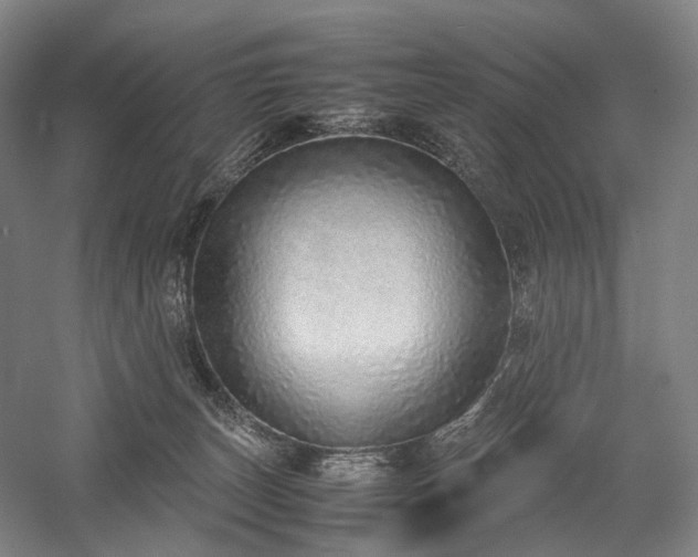 X0000058110179200509231035