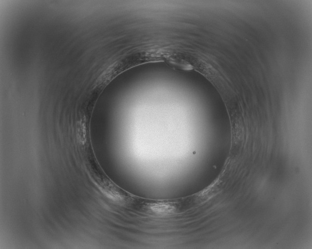 X0000058110183200509231035