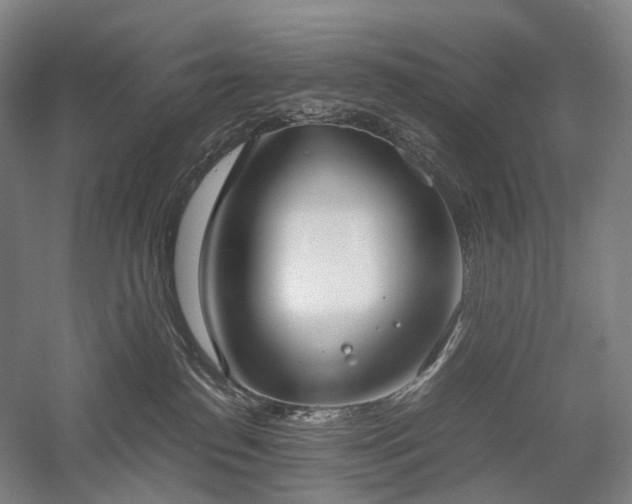 X0000058110186200509231036