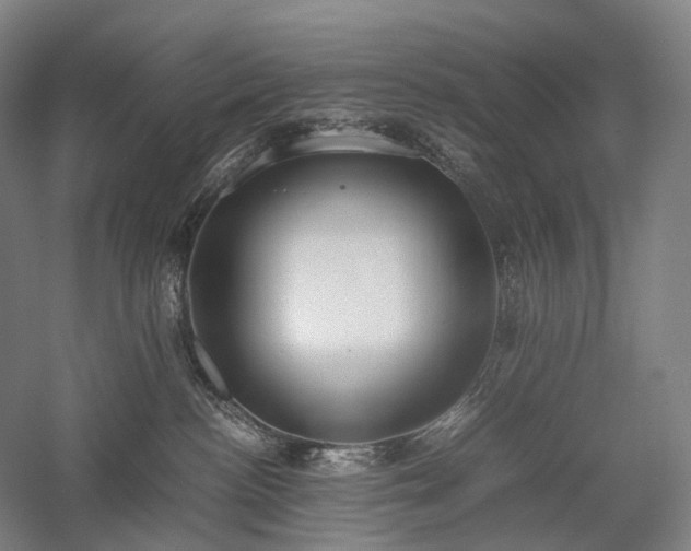X0000058110188200509231036