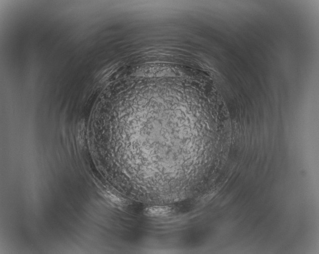 X0000058110189200509231036