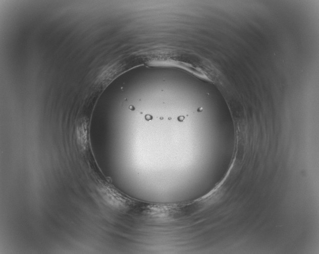 X0000058110190200509231036