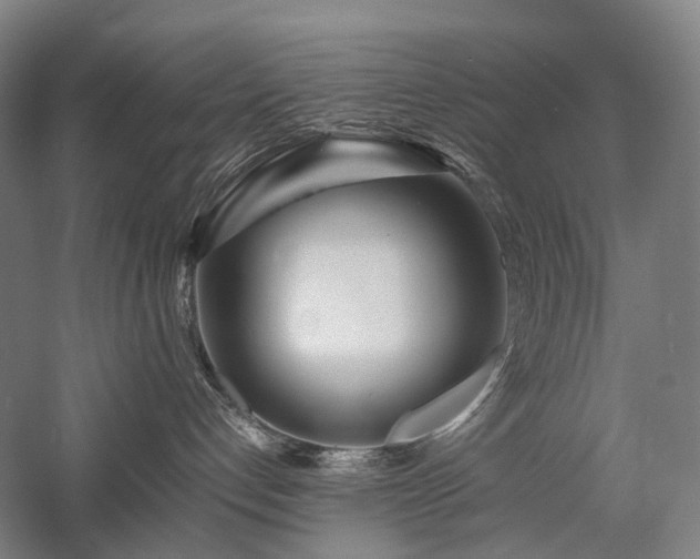 X0000058110192200509231036