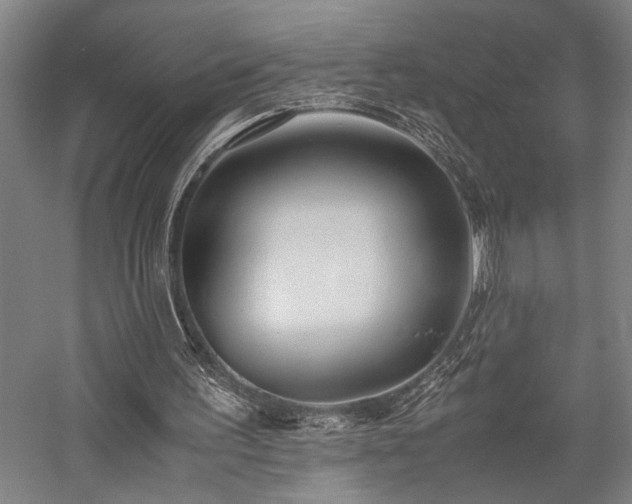 X0000058110195200509231035