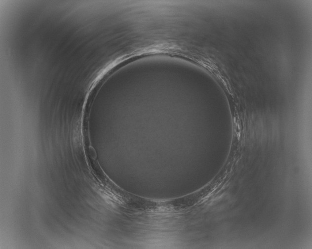 X0000058110196200509231035