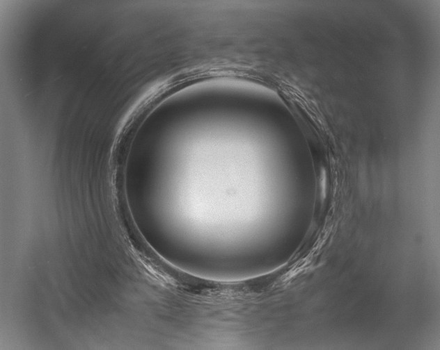 X0000058110197200509231035
