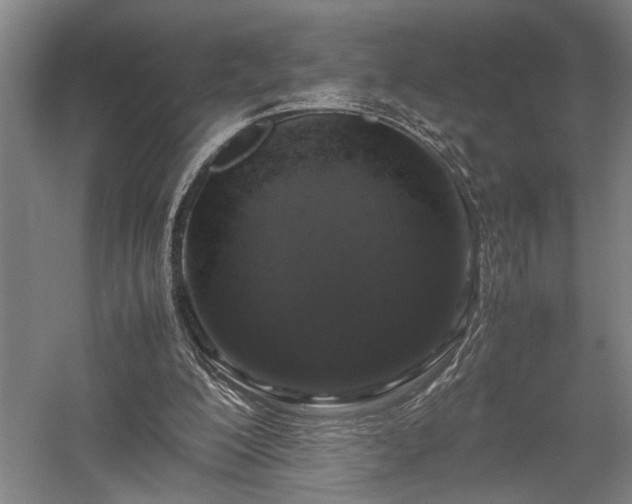 X0000058110200200509231035
