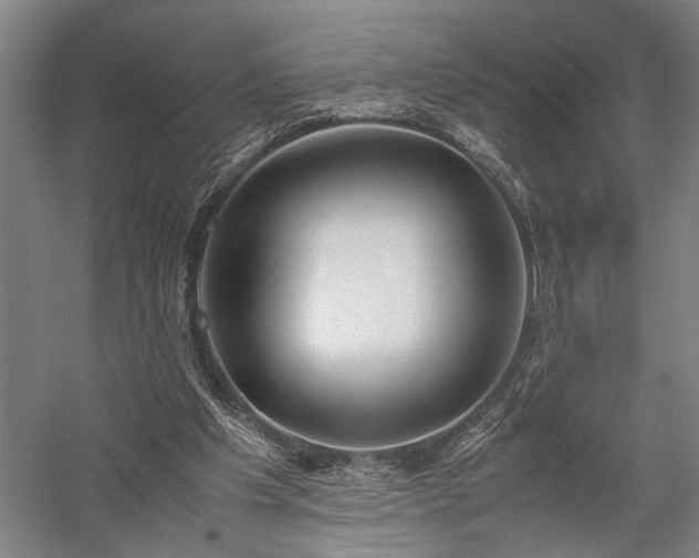 X0000058110201200509231035
