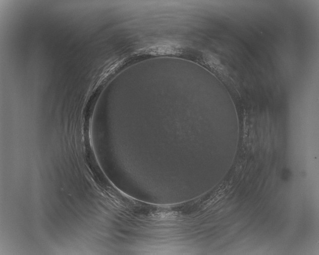 X0000058110202200509231035
