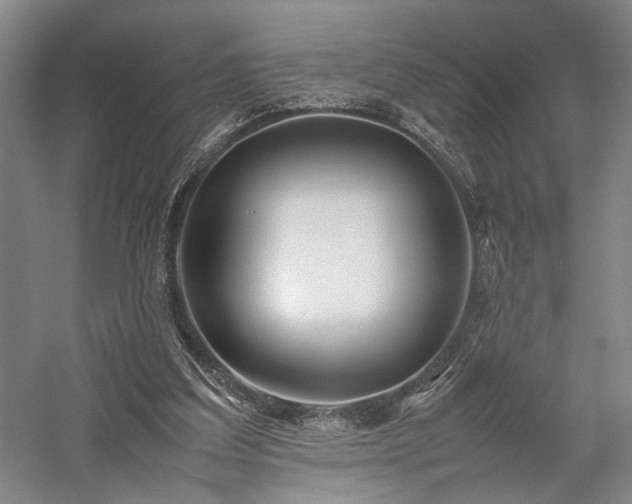 X0000058110203200509231035