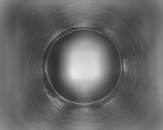 X0000058110204200509231035