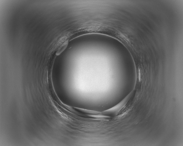 X0000058110205200509231035