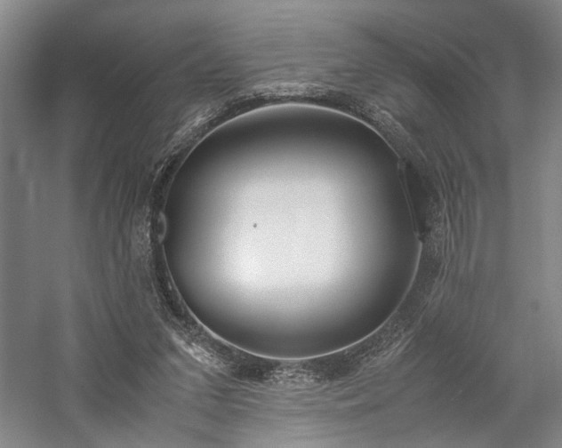 X0000058110207200509231035