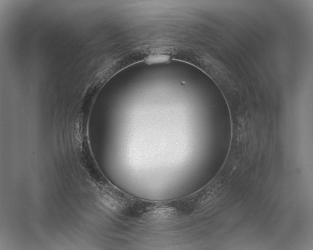 X0000058110210200509231035