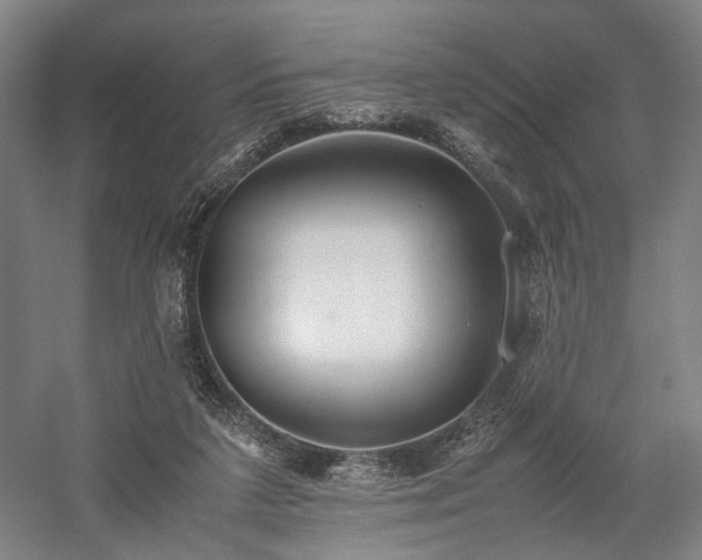 X0000058110211200509231035