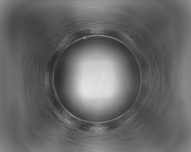 X0000058110213200509231034