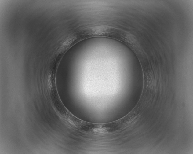 X0000058110216200509231034