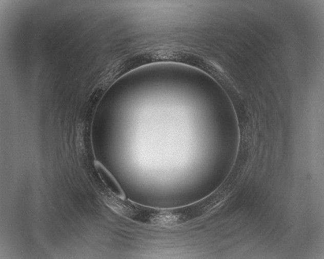 X0000058110217200509231034
