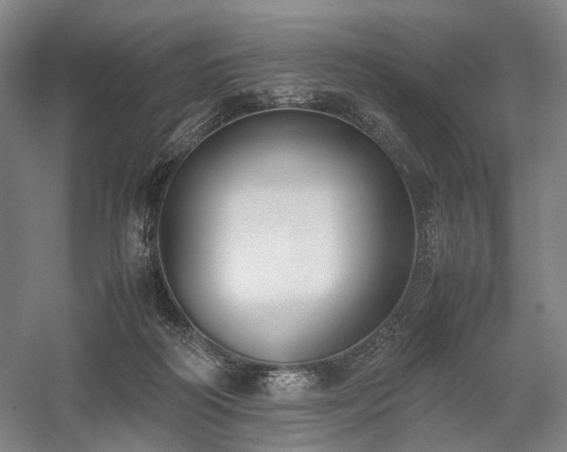 X0000058110218200509231034