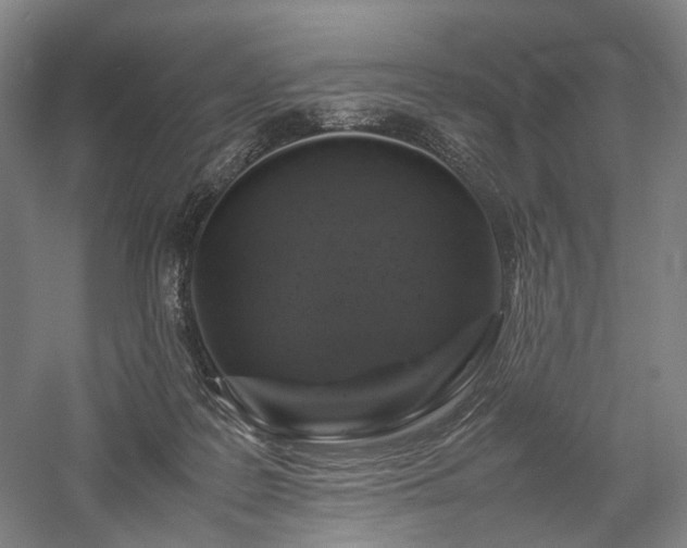 X0000058110219200509231034
