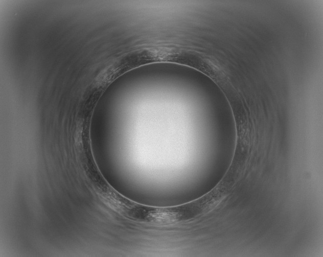 X0000058110221200509231034