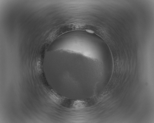 X0000058110222200509231034