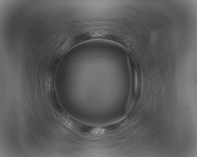 X0000058110227200509231034
