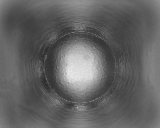 X0000058110228200509231034