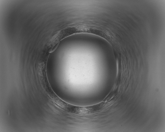 X0000058110229200509231034