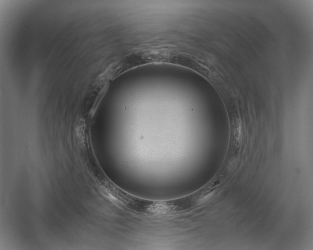 X0000058110231200509231034