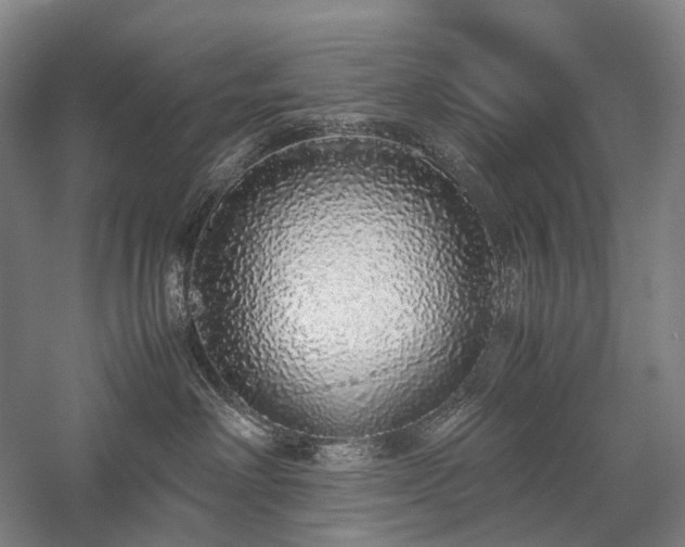 X0000058110238200509231034
