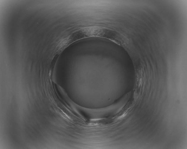 X0000058110239200509231034