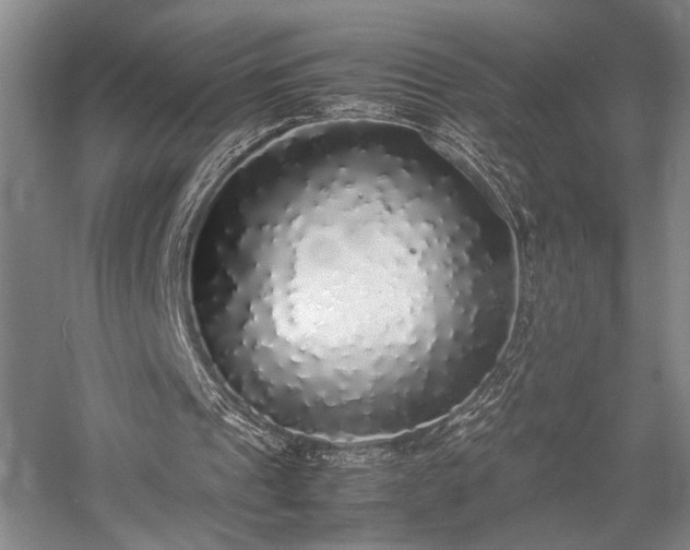 X0000058110241200509231033