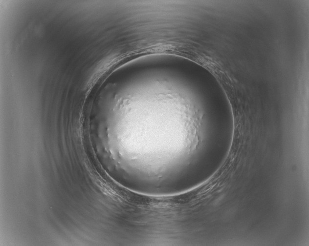 X0000058110242200509231033