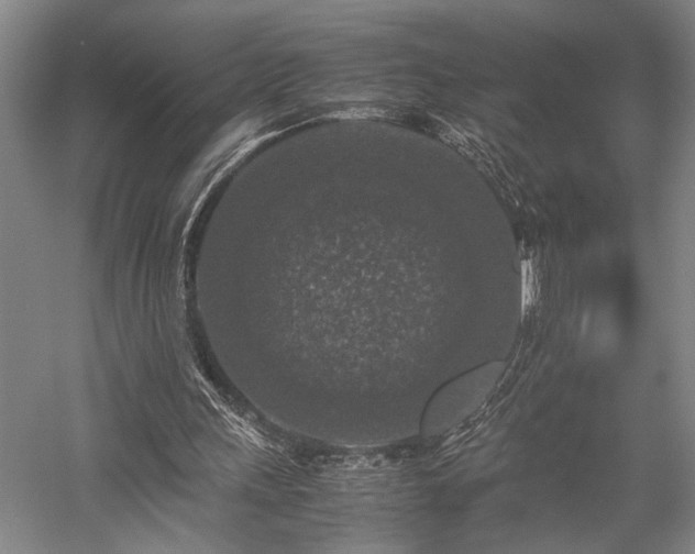 X0000058110243200509231033
