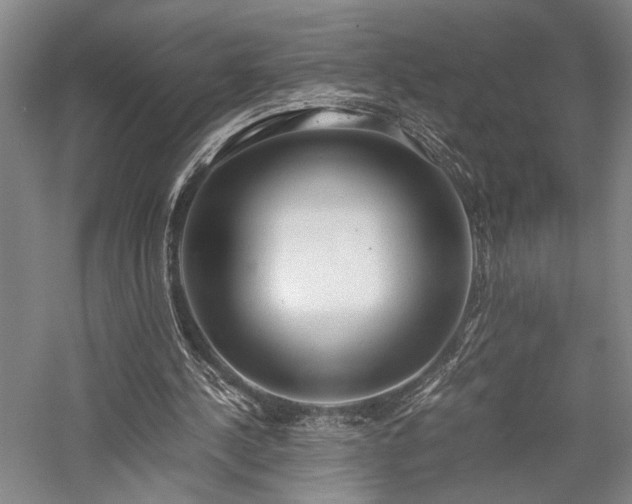 X0000058110244200509231033