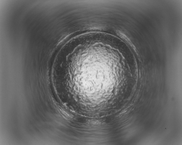 X0000058110249200509231033