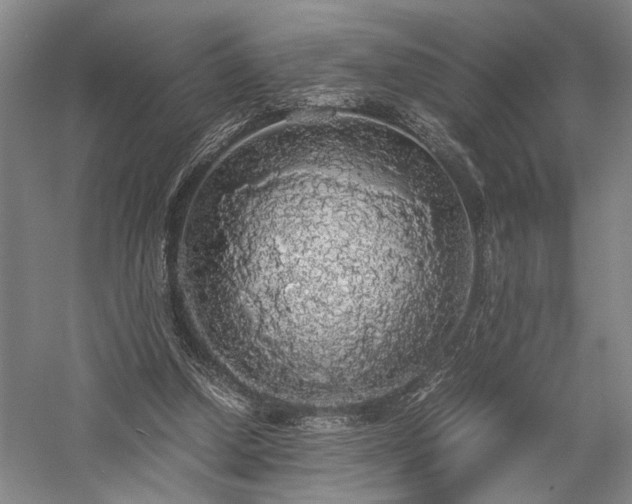 X0000058110250200509231033
