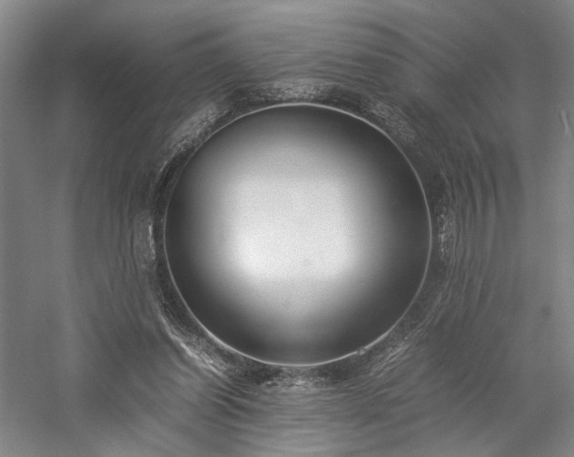 X0000058110254200509231033