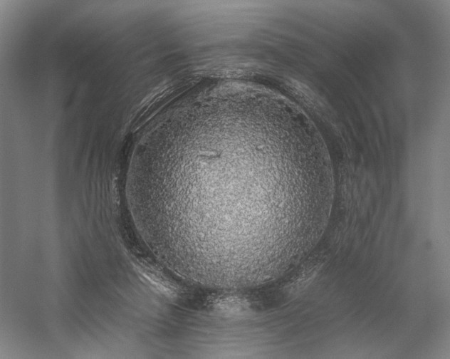 X0000058110258200509231033