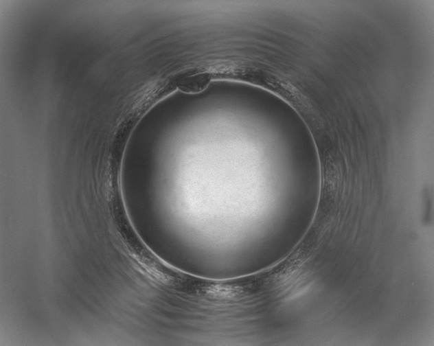 X0000058110261200509231034