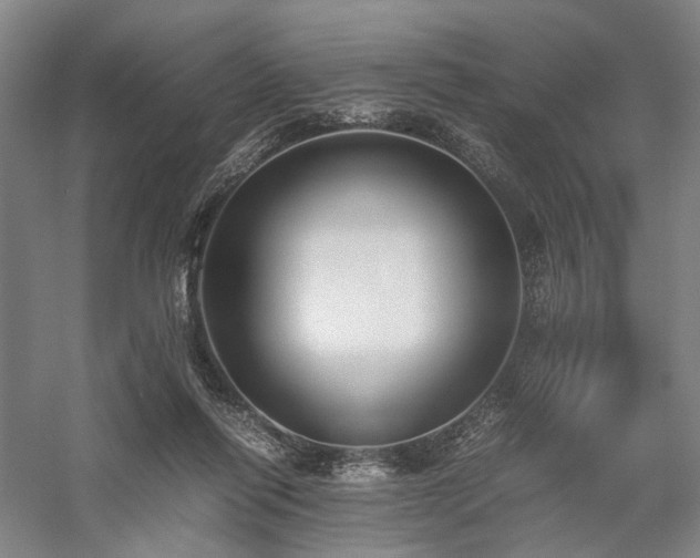 X0000058110262200509231034