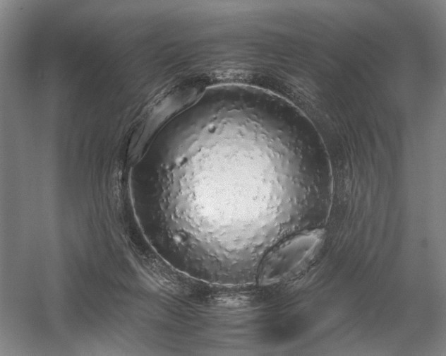 X0000058110263200509231034