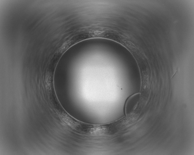 X0000058110274200509231034