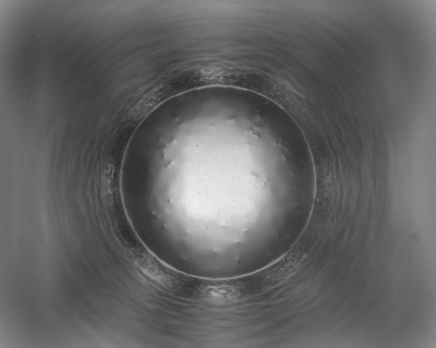 X0000058110275200509231034