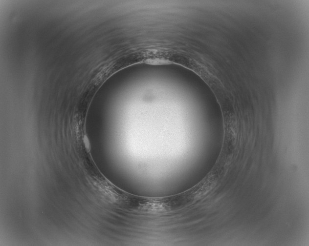 X0000058110276200509231034