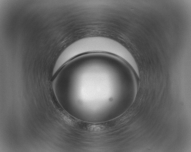 X0000058110277200509231034