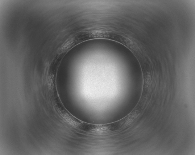 X0000058110278200509231034